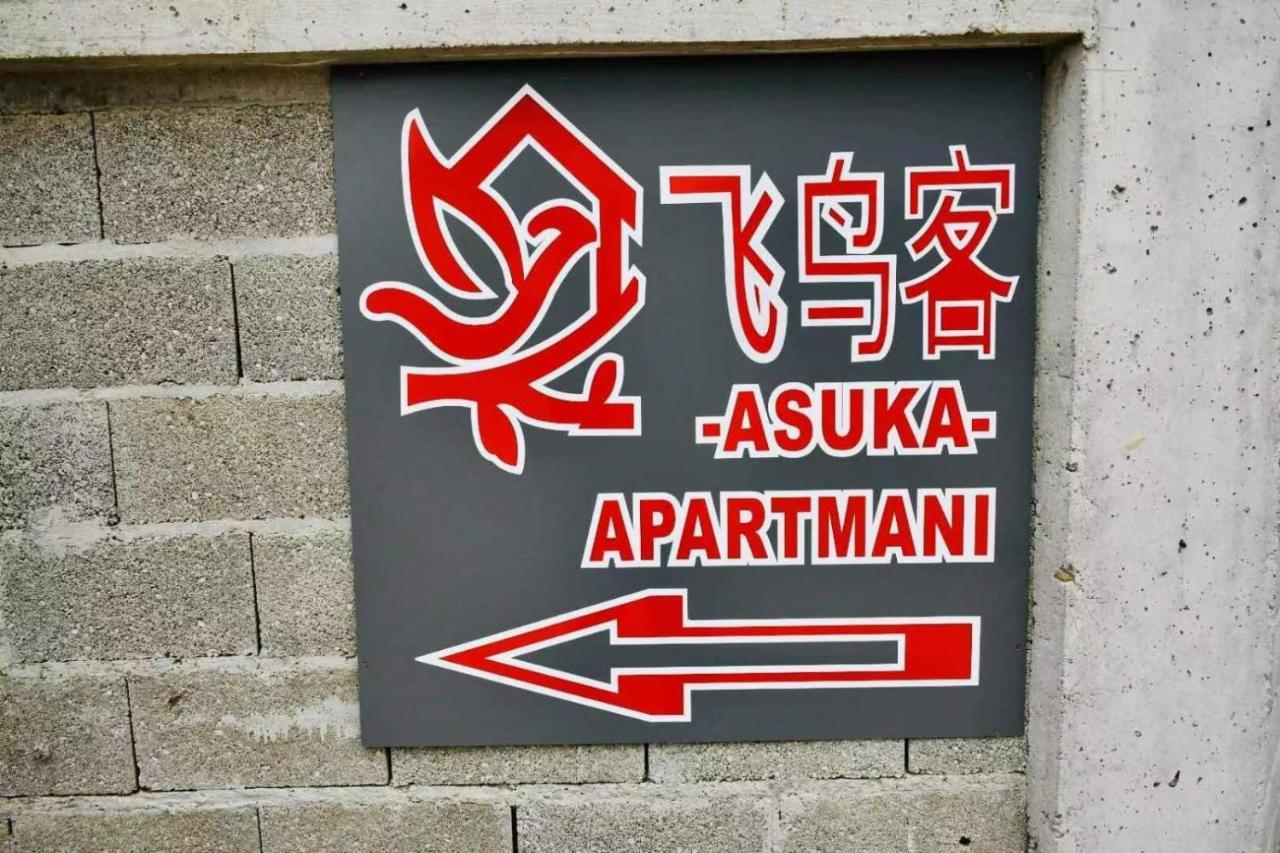 Asuka Apartmani 飞鸟客 Surčin Exteriér fotografie